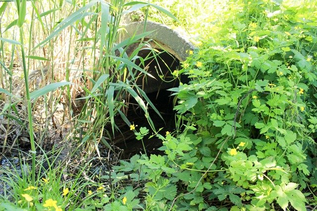 _1_149502412799173-2A8E