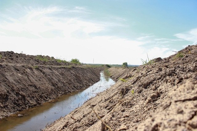 _1_1495024128007123-4000