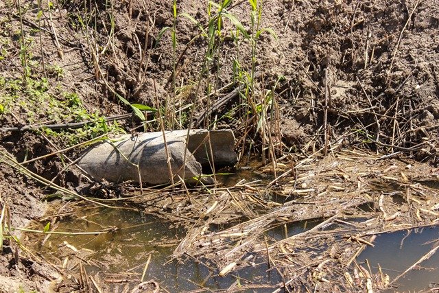 _1_149502412797553-3508