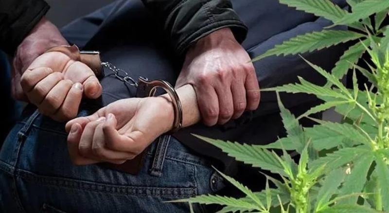 Зберігання та збут канабісу: до 6 років позбавлення волі  засуджено мешканця Кривого Рогу