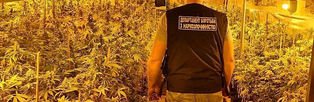 У Криворізькому районі на колишній котельні правоохоронці виявили наркосировини на понад 3 млн грн, - ФОТО