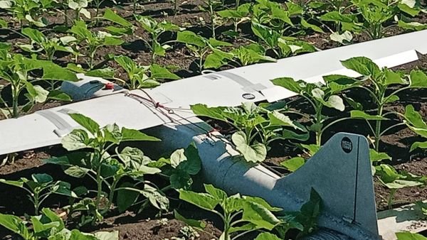 Над Дніпропетровщиною збили ворожий безпілотник