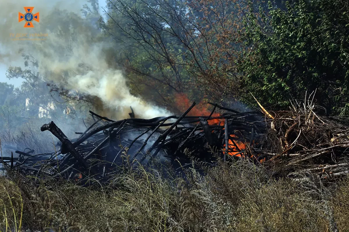 З початку доби рятувальники Дніпропетровщині здійснили 88 виїздів для ліквідації пожеж на відкритих територіях
