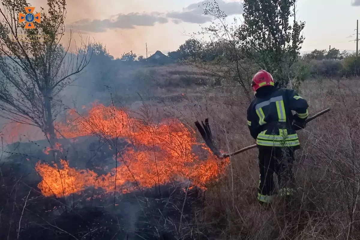 За добу рятувальники Дніпропетровщини приборкали 74 пожежі в екосистемах