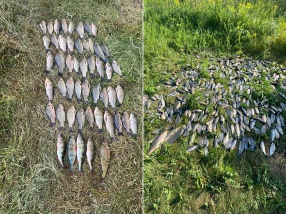 На Криворіжжі рибоохоронний патруль виявив боаконьєрів, які наловили риби на понад 710 тис. гривень, - ФОТО