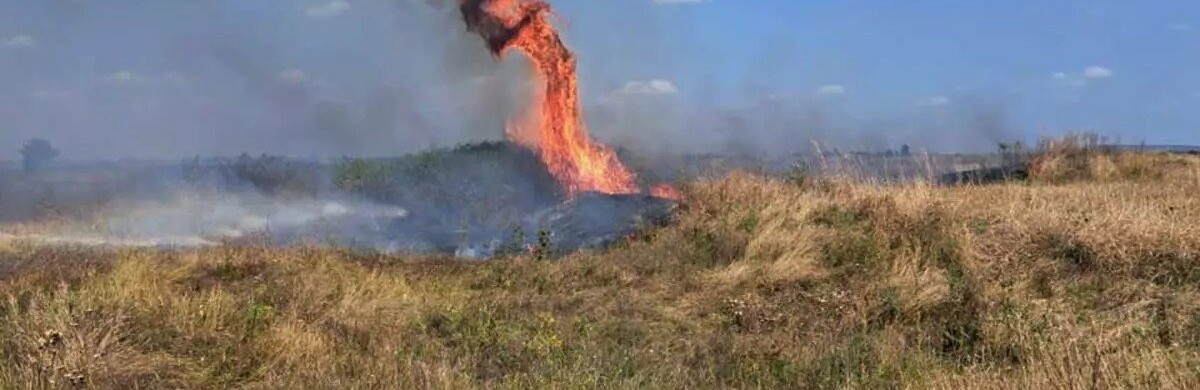 Вогнеборці Дніпропетровщини минулої доби загасили 45 пожеж в екосистемах, - ФОТО