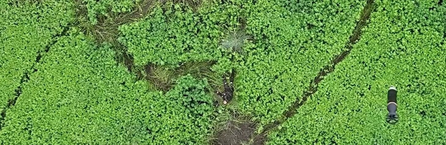 Оператори БпЛА Криворізької бригади тероборони допомогли групі окупантів потрапити на 