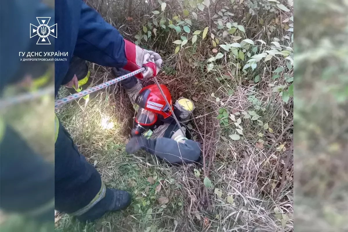 У Кривому Розі надзвичайники врятували собача, яке впало до каналізаційного колодязя, - ФОТО
