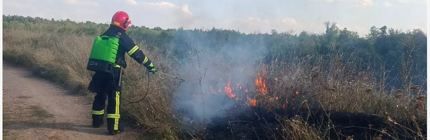 Вогнеборці протягом доби ліквідували 37 пожеж в екосистемах Дніпропетровщини, - ФОТО 
