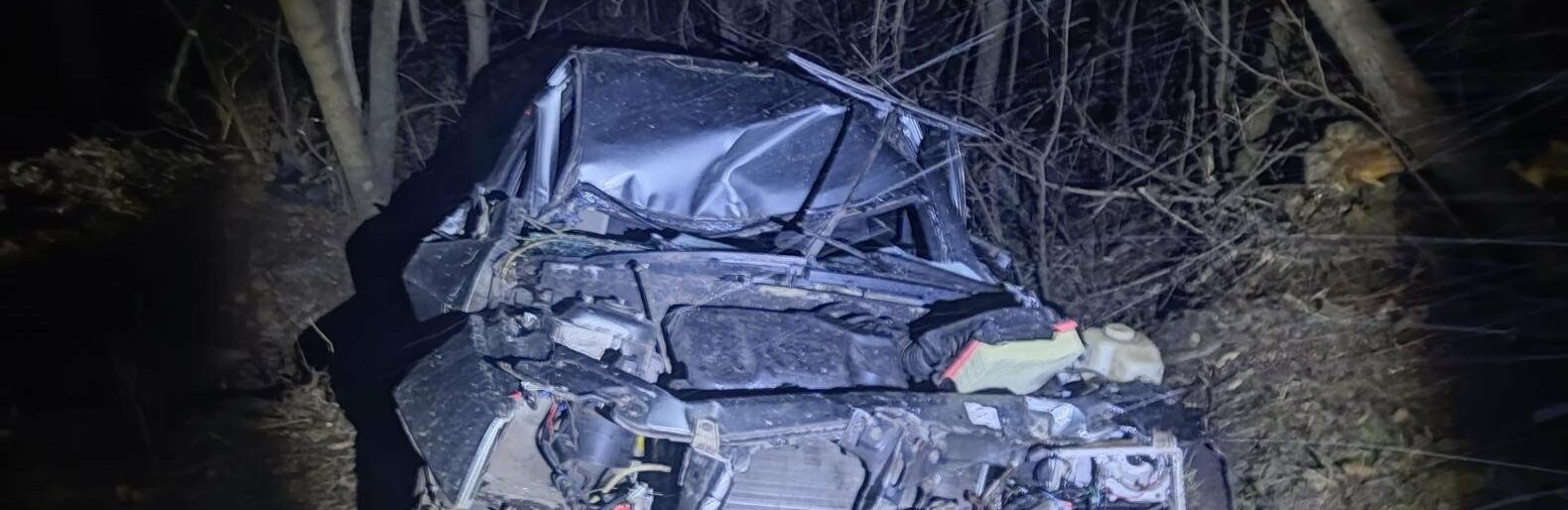 На об'їзній дорозі у Кривому Розі ВАЗ зіштовхнувся з деревом, - ФОТО