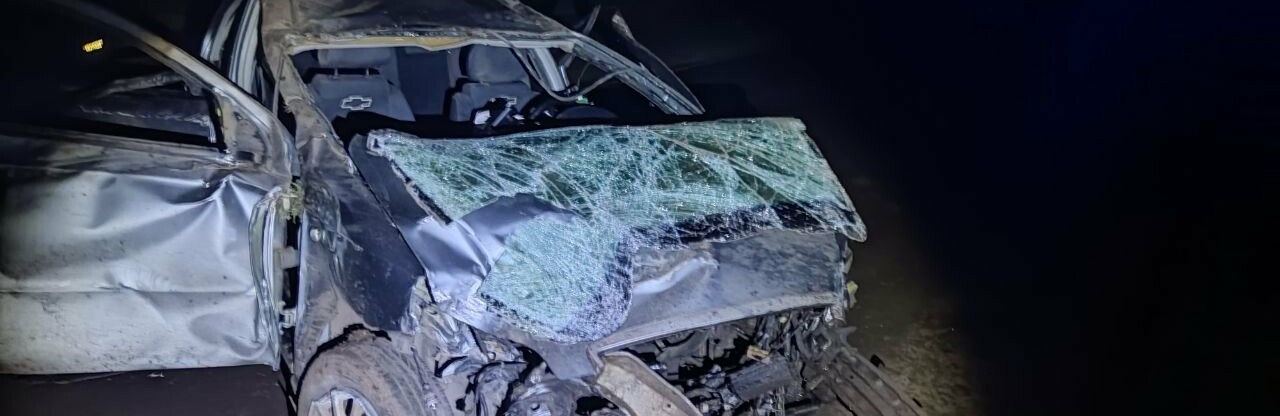 У Кривому Розі водій Chevrolet, тікаючи від поліції, влетів у дерево, - ФОТО