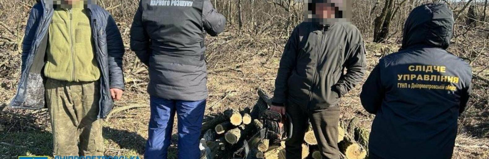 Незаконна порубка лісу на 2 млн грн – на Дніпропетровщині п’ятьом учасникам організованої групи повідомлено про підозру. - ФОТО
