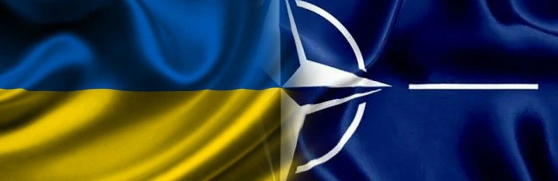 Серед умов вступу України в НАТО - боротьба з п’ятою колонною, - президент Литви