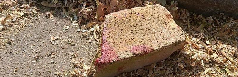 У Кривому Розі затримали чоловіка, який цеглиною намагався вбити жінку, - ФОТО