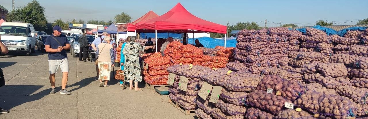 Ціни на овочі та фрукти на Оптовому ринку Кривого Рогу, - ФОТО