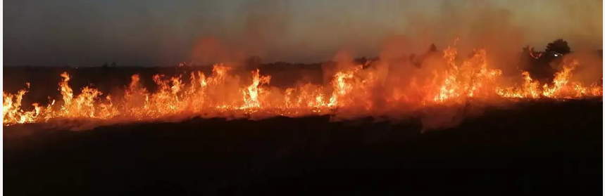 На Дніпропетровщині рятувальники ліквідували 60 пожеж в екосистемах, - ФОТО