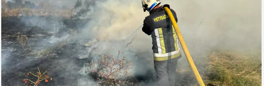 Протягом мнулої доби рятувальники Дніпропетровщини 29 разів залучались до гасіння пожеж в екосистемах, - ФОТО 