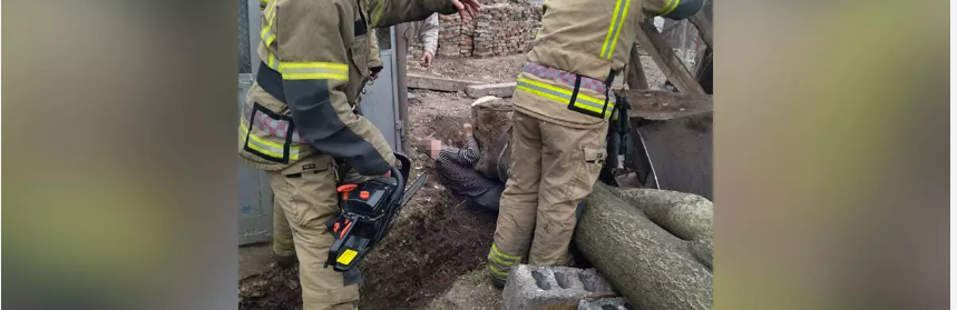 У Кривому Розі фахівці ДСНС вивільнили чоловіка, якого придавило деревом, - ФОТО 