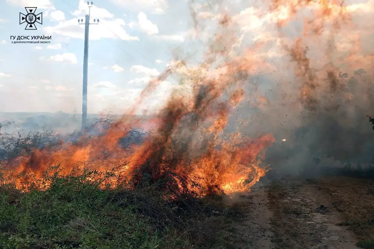 За добу вогнеборці Дніпропетровщини ліквідували 74 пожежі в екосистемах, - ФОТО