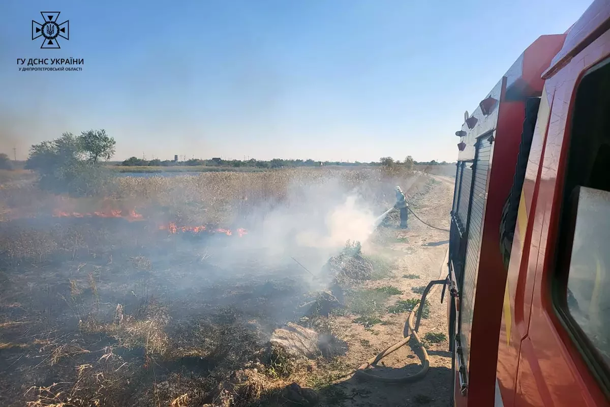 Протягом доби на Дніпропетровщині рятувальники ліквідували 78 загорань в екосистемах, - ФОТО