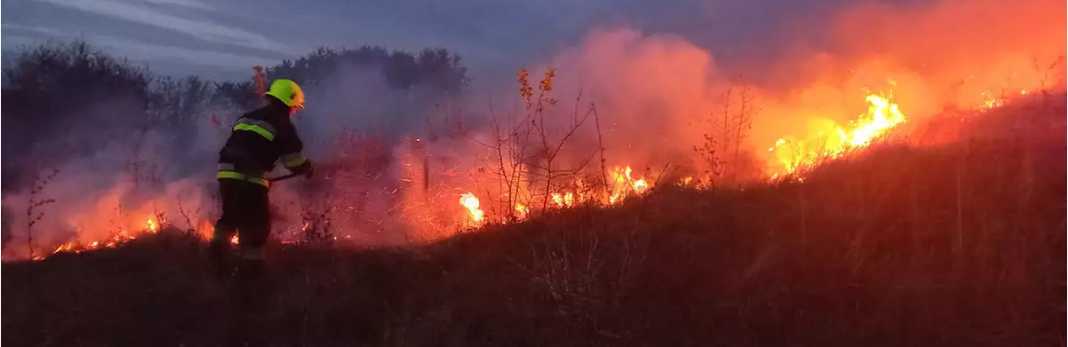 На Дніпропетровщині за минулу добу рятувальники загасили 29 займань в екосистемах, - ФОТО 