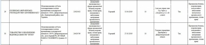 Какие предприятия Кривого Рога будет проверять Гоструда в 2019 году, фото-43