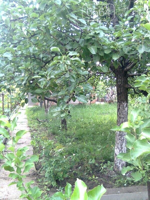 с.Вольное Участок , Продается дача возле сВольное... - 26 ...