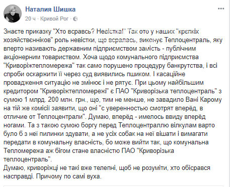 "Теплоцентраль" & "крепкие хозяйственники": Почему отменили..., фото-3 "Теплоцентраль" & "крепкие хозяйственники": Почему отменили сессию в Кривом Роге?, фото-3