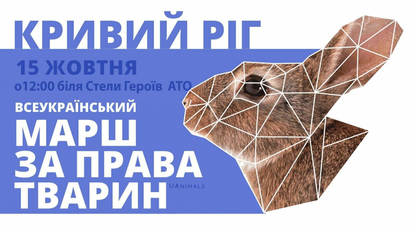 Фестиваль козацкой песни, легендарный матч, концерт Тины К..., фото-17 Фестиваль козацкой песни, легендарный матч, концерт Тины Кароль, марш за права животных: где криворожанам провести 3 выходных , фото-17