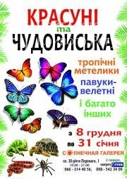 "Кривбасс" против "Кривого Рога", "Джунги" и "Бульвар чуде..., фото-10 "Кривбасс" против "Кривого Рога", "Джунги" и "Бульвар чудес": куда пойти на выходных , фото-10