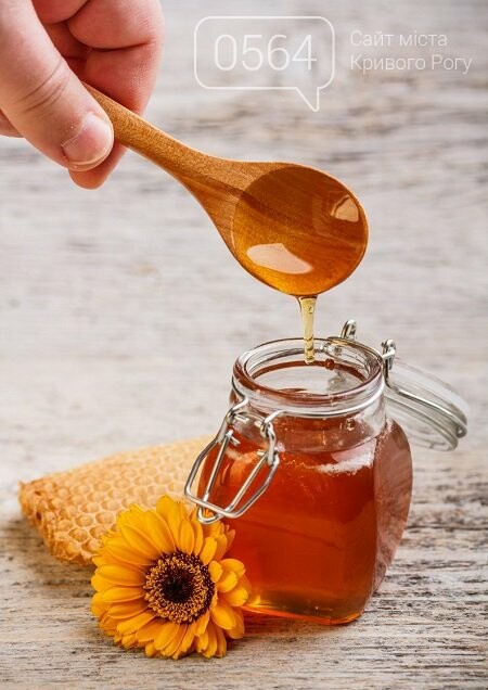 Фестивали меда, искусства и еды, футбольные матчи и семина..., фото-5 Фестивали меда, искусства и еды, футбольные матчи и семинар для собаководов: куда пойти криворожанам на выходных, фото-5