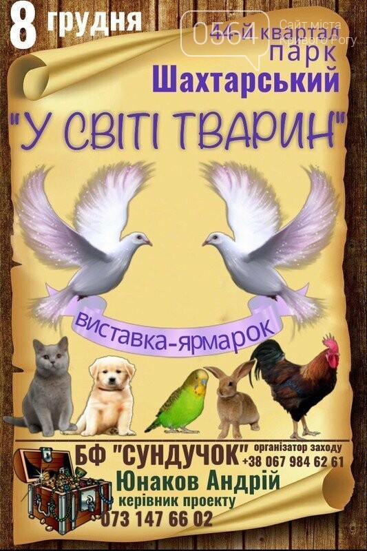 Эко-фестиваль, установление рекорда, дебатная школа: куда п..., фото-5 Эко-фестиваль, установление рекорда, дебатная школа: куда пойти криворожанам на выходных , фото-5