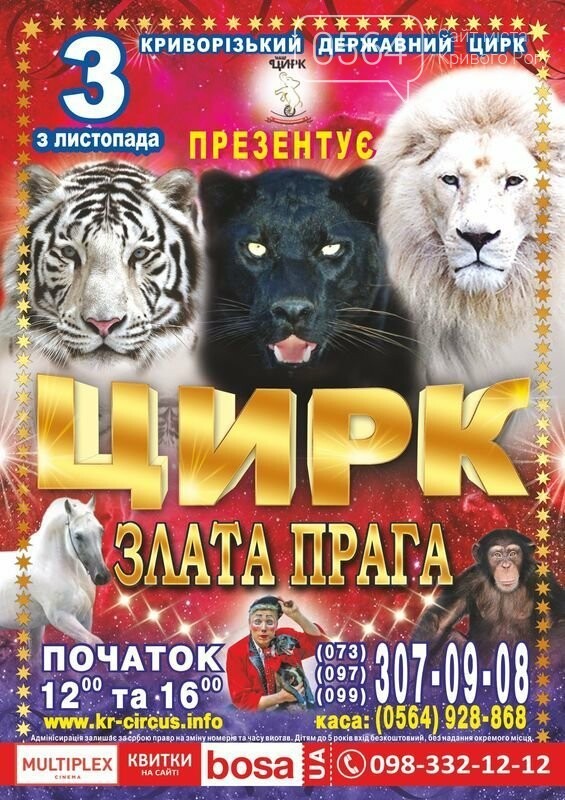 Эко-фестиваль, установление рекорда, дебатная школа: куда п..., фото-6 Эко-фестиваль, установление рекорда, дебатная школа: куда пойти криворожанам на выходных , фото-6