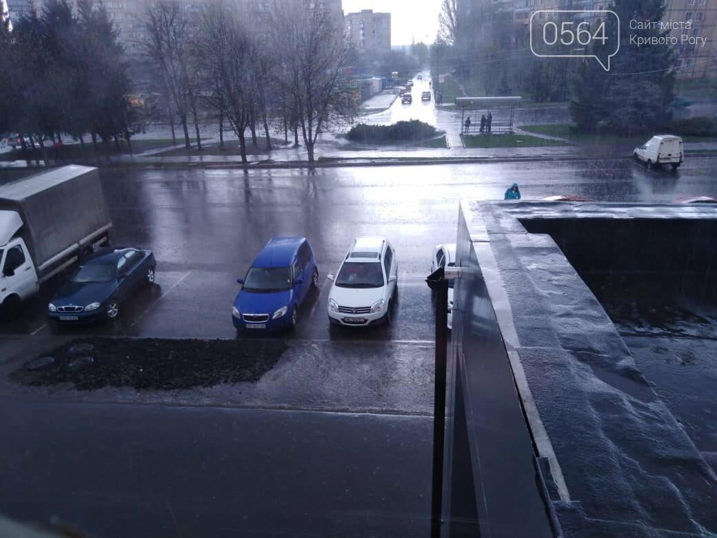 Цветущий абрикос в Кривом Роге завалило градом и дождем (Фото/Видео) Новости Днепра