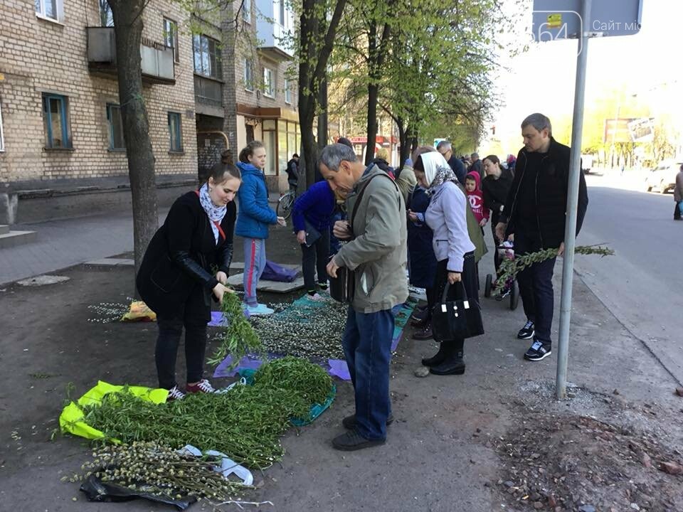 Вербовое запорожская