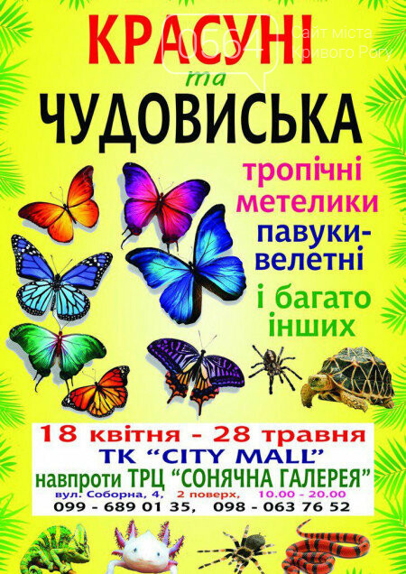 Лекция о мифах во времена ВМВ, борьба за гендерное равенств..., фото-1 Лекция о мифах во времена ВМВ, борьба за гендерное равенство, кантри-кросс: куда пойти криворожанам на выходных , фото-1