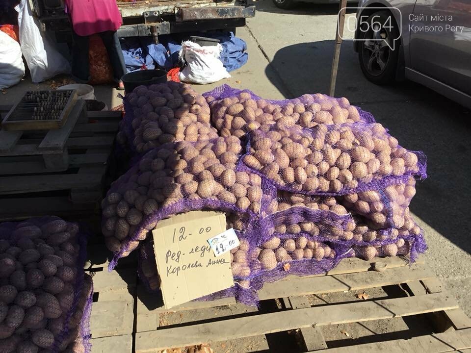 Картофель В Розницу В Магазинах