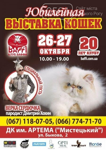 Гонки на выживание, Джаз на Почтовом, выставка кошек и ретр..., фото-5 Гонки на выживание, Джаз на Почтовом, выставка кошек и ретро-автомобилей: куда пойти криворожанам на выходных , фото-5