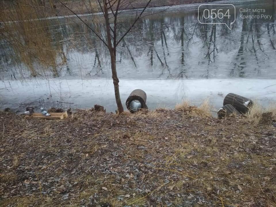 Выбросили 14 урн в реку, сожгли камыш, разобрали тротуарную плитку: в криворожском парке орудовали вандалы, - ФОТО , фото-14