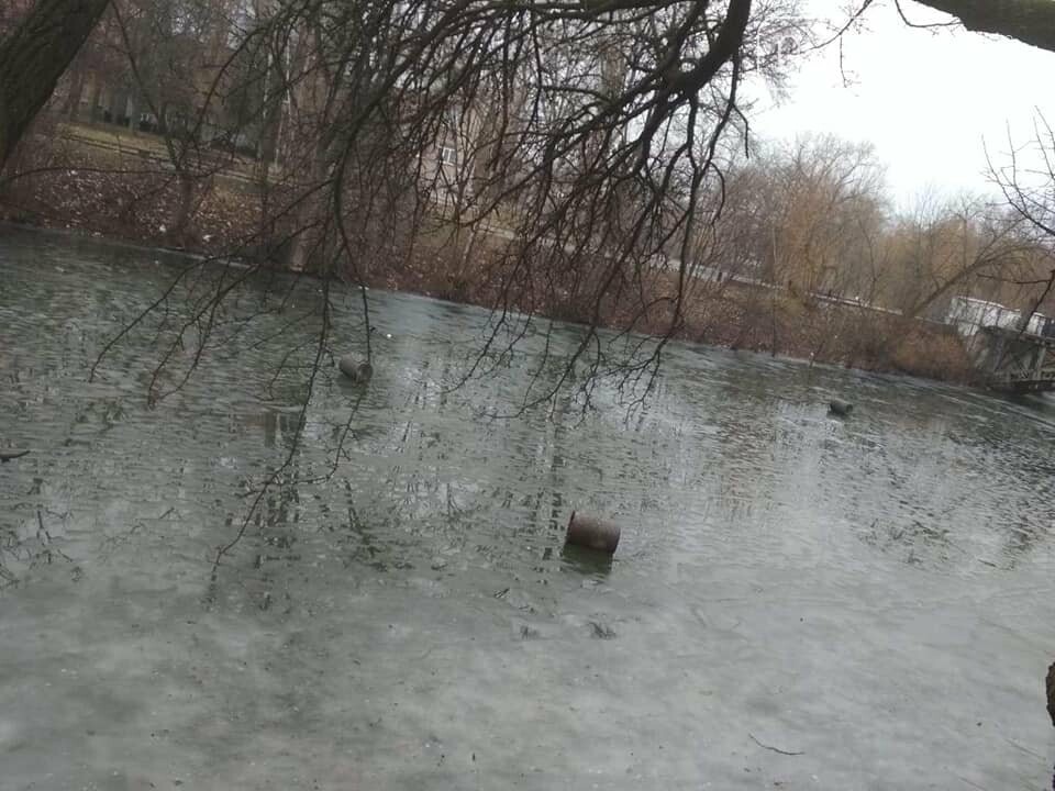 Выбросили 14 урн в реку, сожгли камыш, разобрали тротуарную плитку: в криворожском парке орудовали вандалы, - ФОТО , фото-5