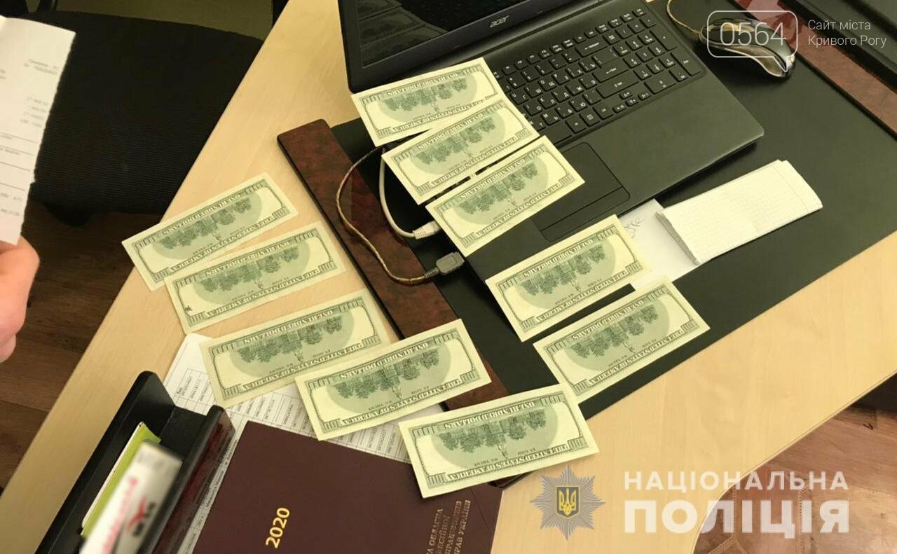 Фигурант уголовного дела пытался подкупить криворожского полицейского за 1000 долларов, - ФОТО , фото-3