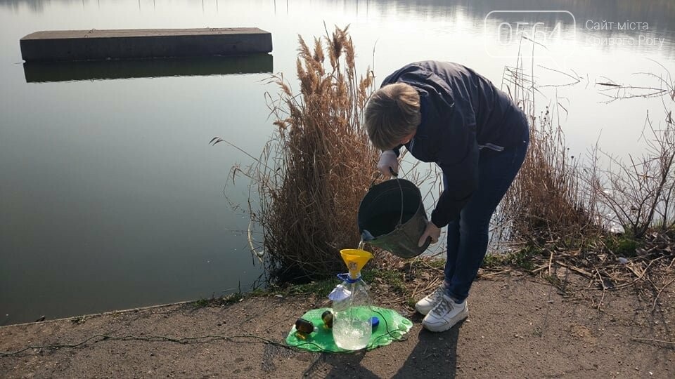В центре Кривого Рога отобрали пробы воды в двух прудах, - ФОТО , фото-1