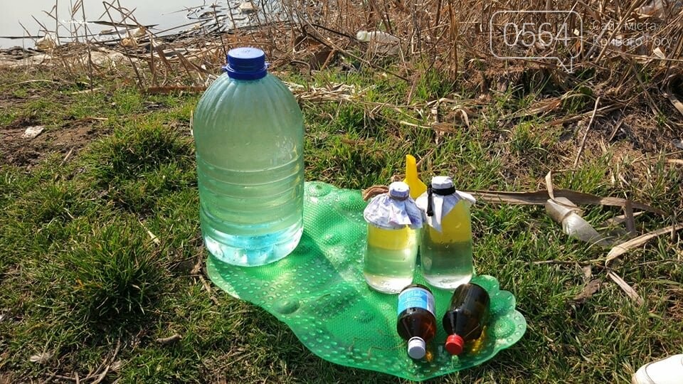 В центре Кривого Рога отобрали пробы воды в двух прудах, - ФОТО , фото-3