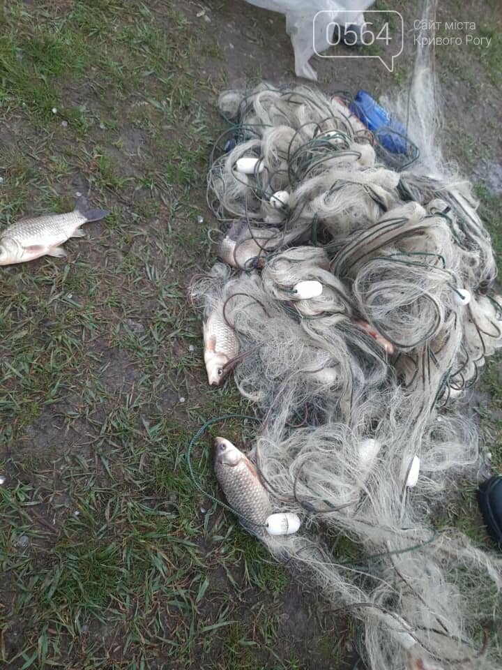 До трех лет тюрьмы грозит криворожанину, ловившему во время нереста рыбу в водоеме Кривого Рога, - ФОТО , фото-1