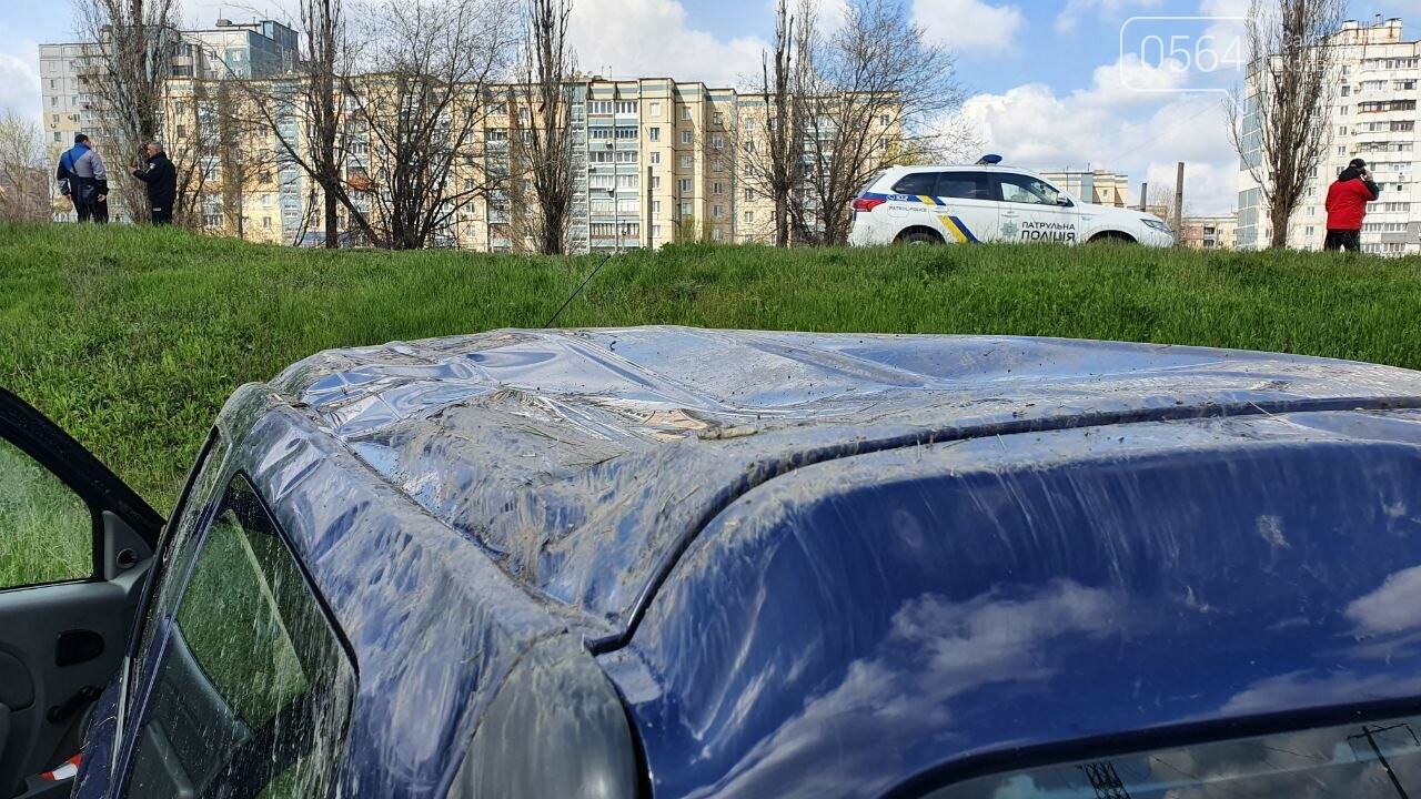 В Кривом Роге легковушка слетела в кювет - ФОТО, фото-2