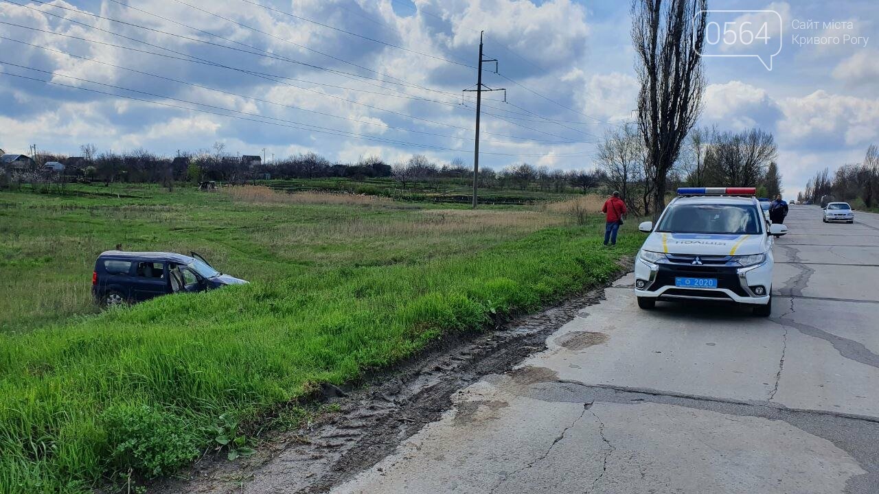 В Кривом Роге легковушка слетела в кювет - ФОТО, фото-7