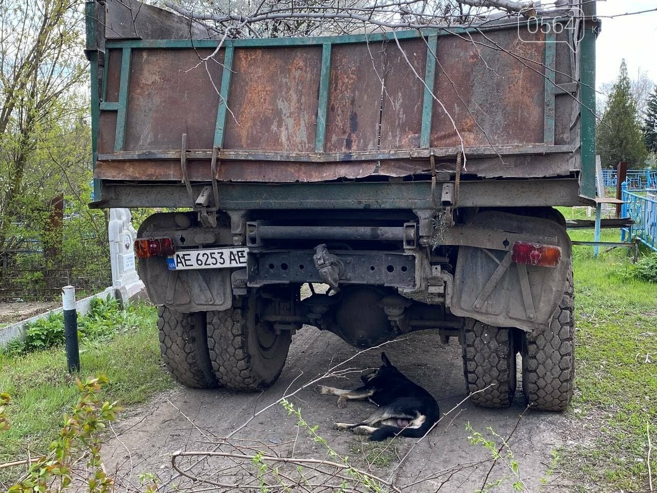 На криворожских кладбищах накануне поминальных дней в усиленном режиме работает спецтехника, - ФОТО, ВИДЕО , фото-20