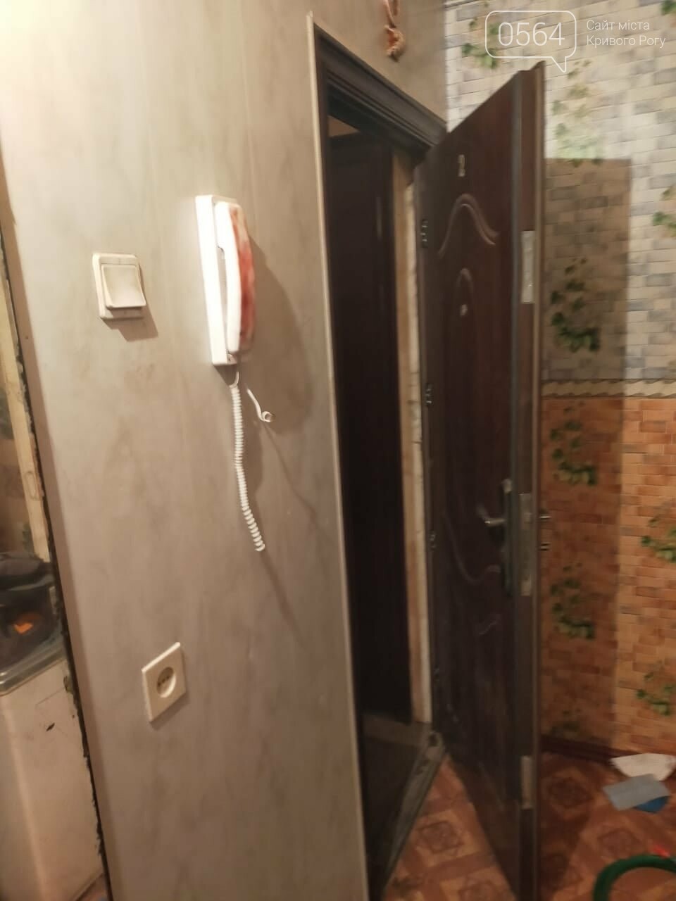 Били и требовали деньги: в Кривом Роге на Пасху преступная группа проникла в квартиру пенсионера, - ФОТО, фото-3