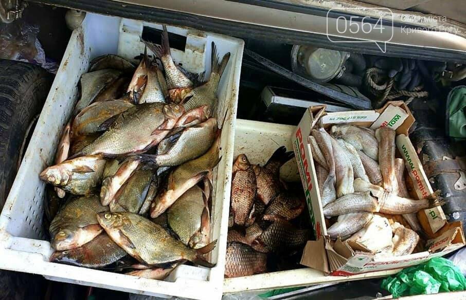В Кривом Роге за 10 дней участковые раскрыли почти 20 преступлений и составили 60 админпротоколов, - ФОТО , фото-3