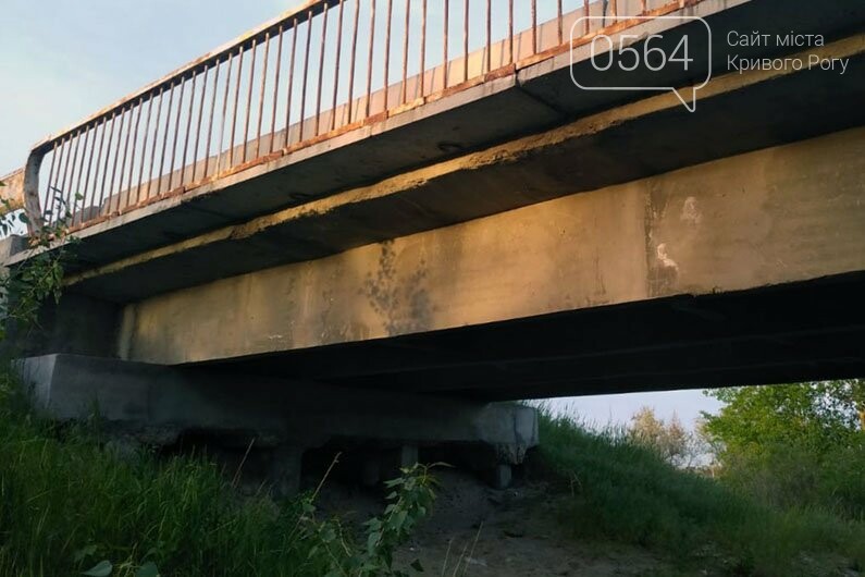 На Днепропетровщине выявили два артиллерийских снаряда, - ФОТО, фото-1